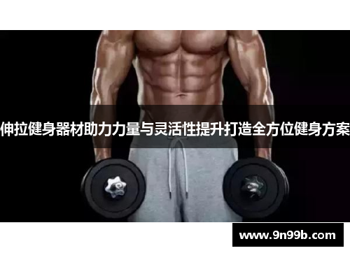 伸拉健身器材助力力量与灵活性提升打造全方位健身方案